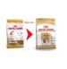 Royal Canin Dog Food Adult Beagle 3 Kg Petshop18.com